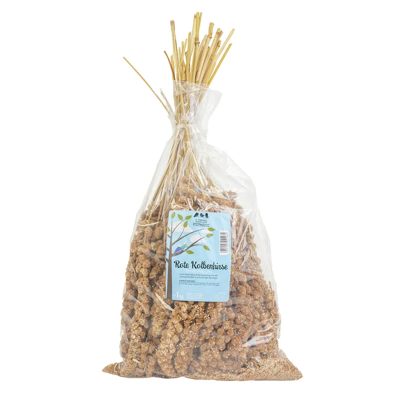 LOTTIS PIEPMÄTZE Rote Kolbenhirse 1 kg Geprüft